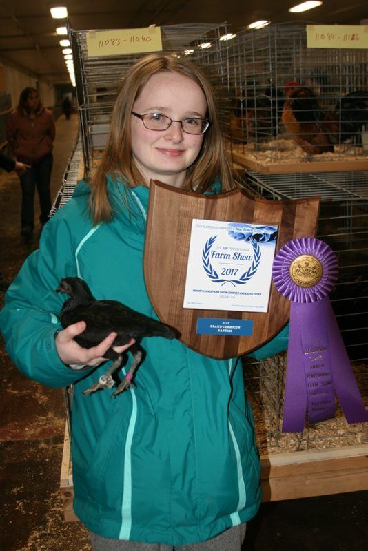 B-poultry-FS-2.jpg